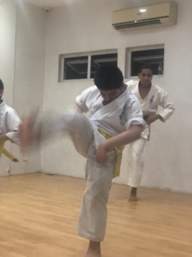 Karate Image 3